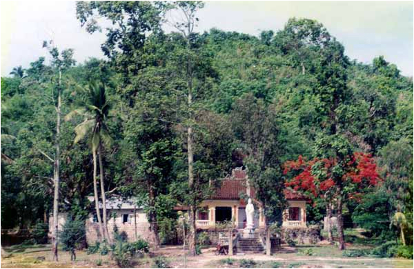 Toàn cảnh chùa năm 1990