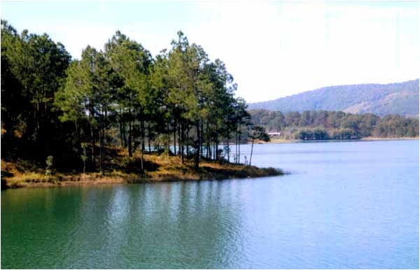 Hồ tuyền lâm (1)