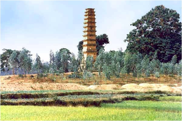 Toàn cảnh tháp Bình Sơn