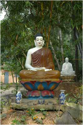 Tượng đức Phật Thích Ca (8)